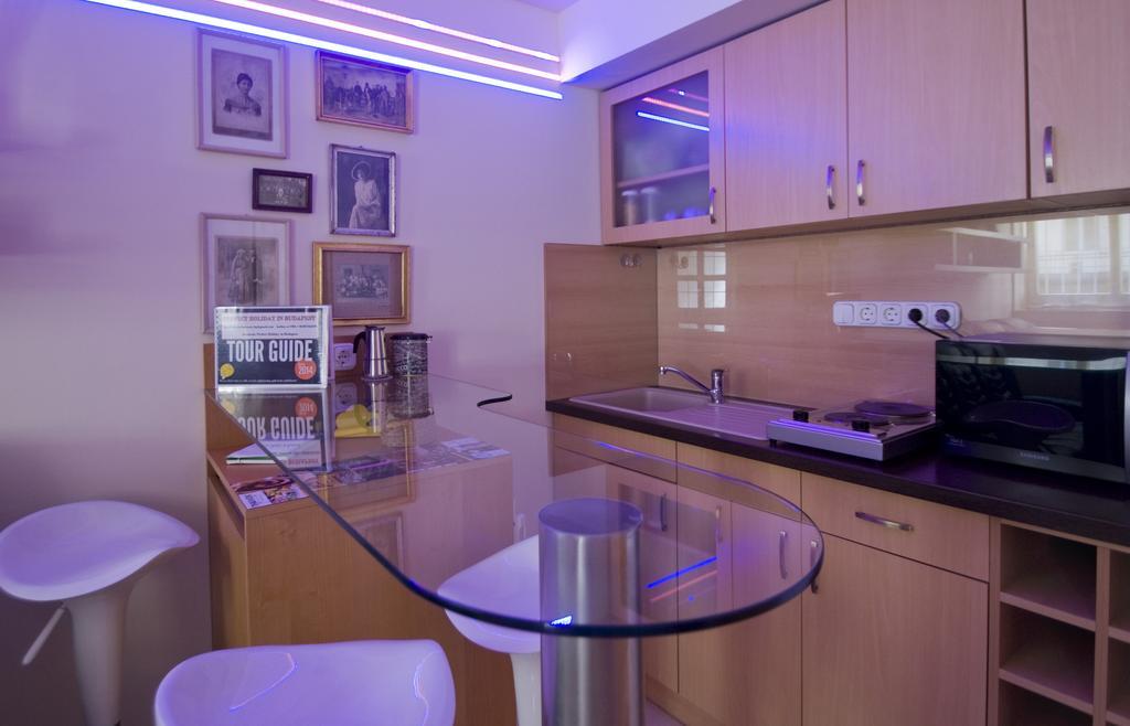 Central Budapest Apartment Rum bild